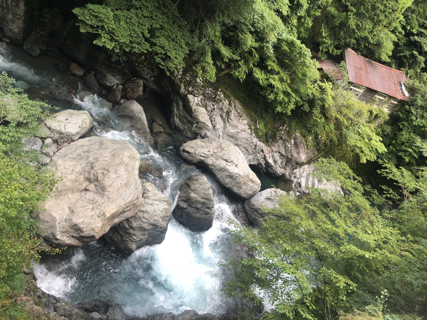 山犬嶽の麓を走ってみた のりたまさんの山犬嶽の活動日記 Yamap ヤマップ