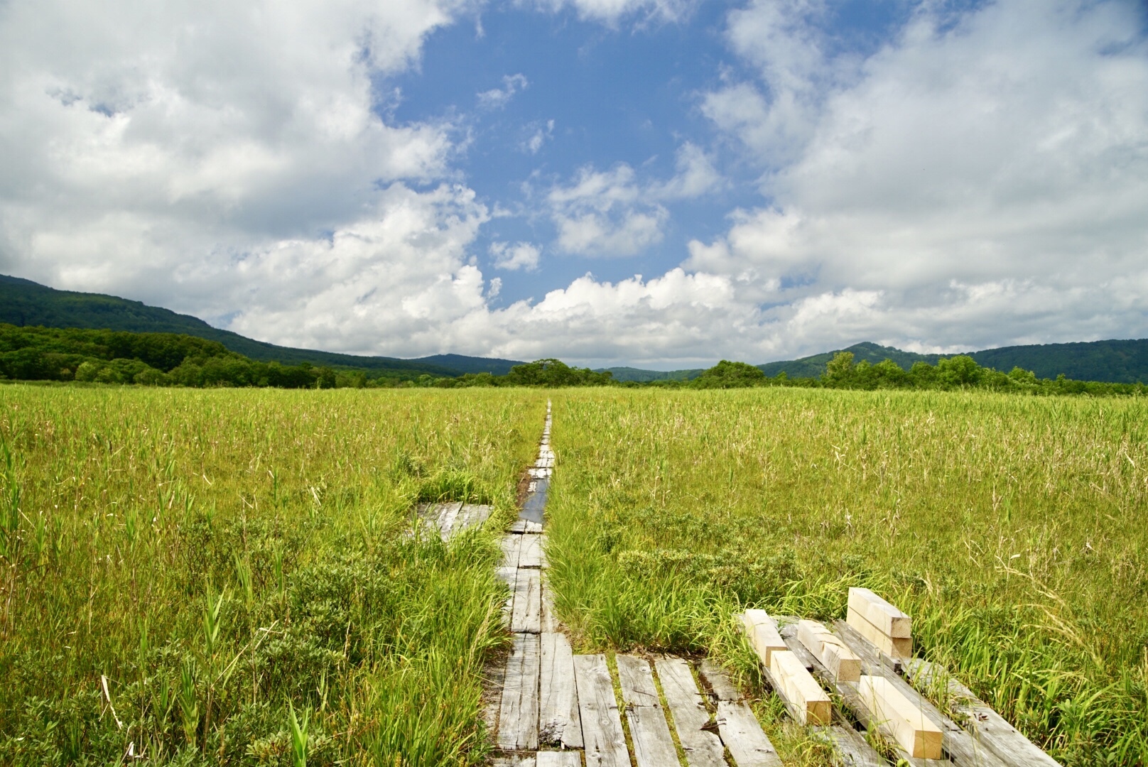 52 田代平湿原 たしろたい ようちゃんさんの八甲田山 高田大岳 雛岳の活動データ Yamap ヤマップ