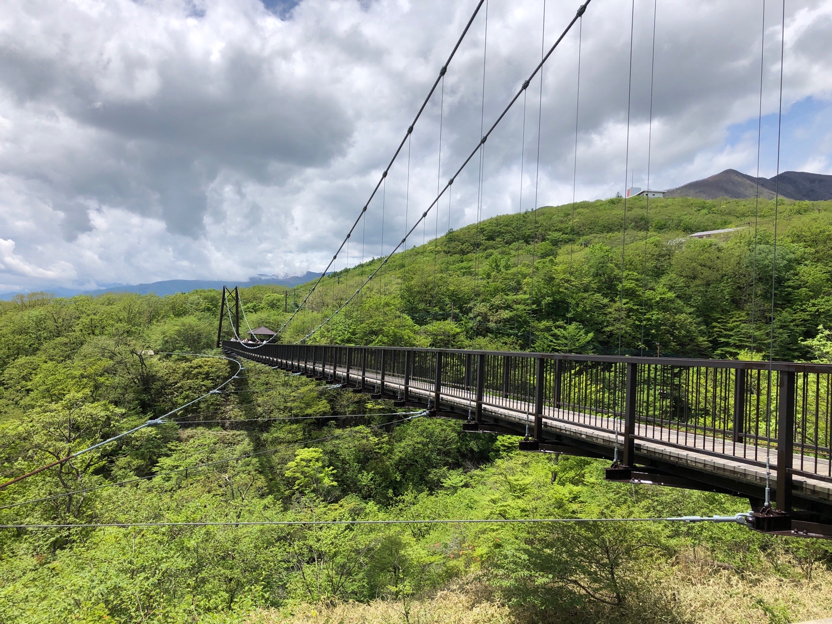 八幡ツツジ群生地 つつじ越しの茶臼岳 05 27 Mochaさんの茶臼岳 那須岳 三本槍岳 赤面山の活動日記 Yamap ヤマップ
