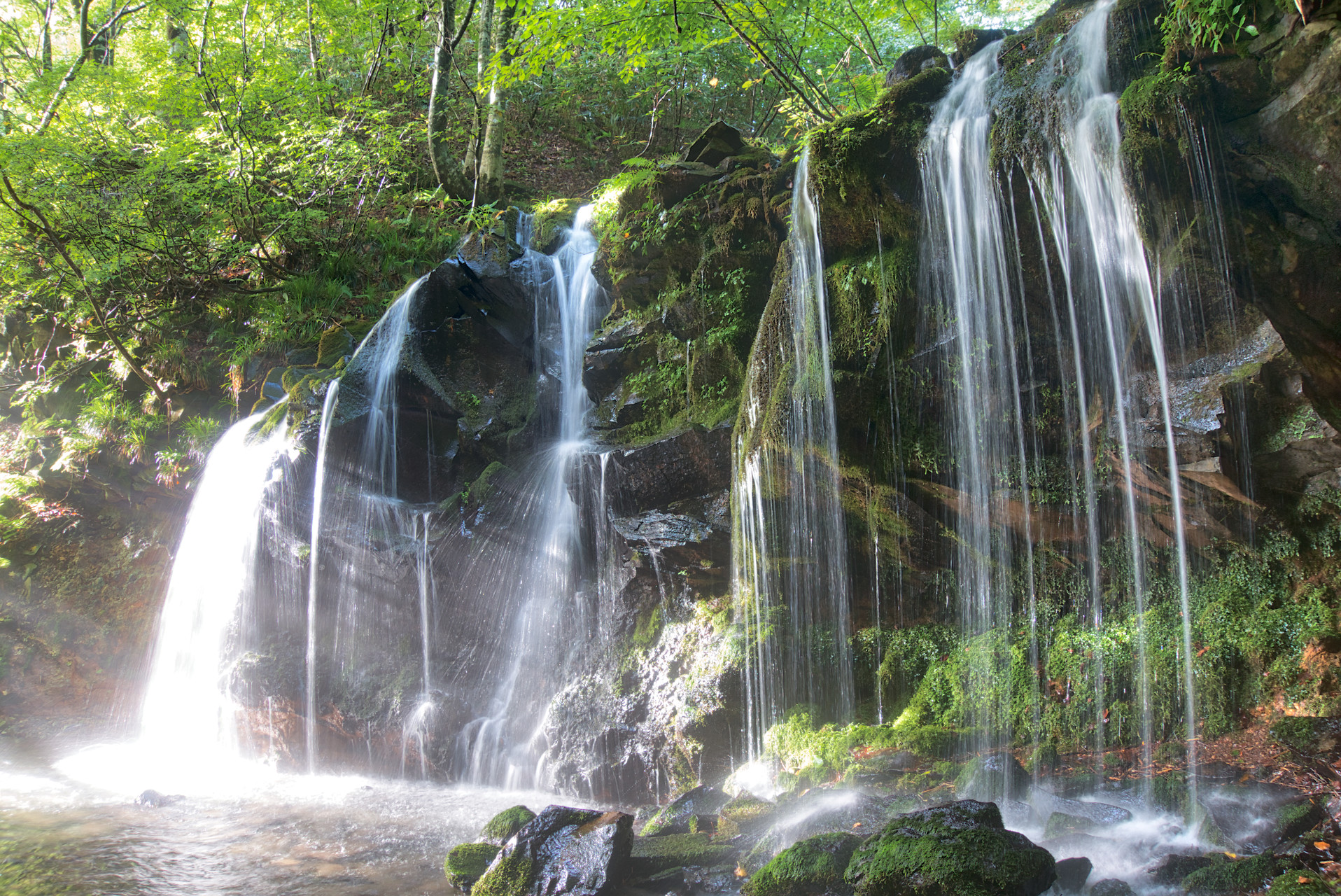 チャンスは少ない ならば初弾から斉射 猿壺の滝 シワガラの滝 Persさんの扇ノ山の活動データ Yamap ヤマップ