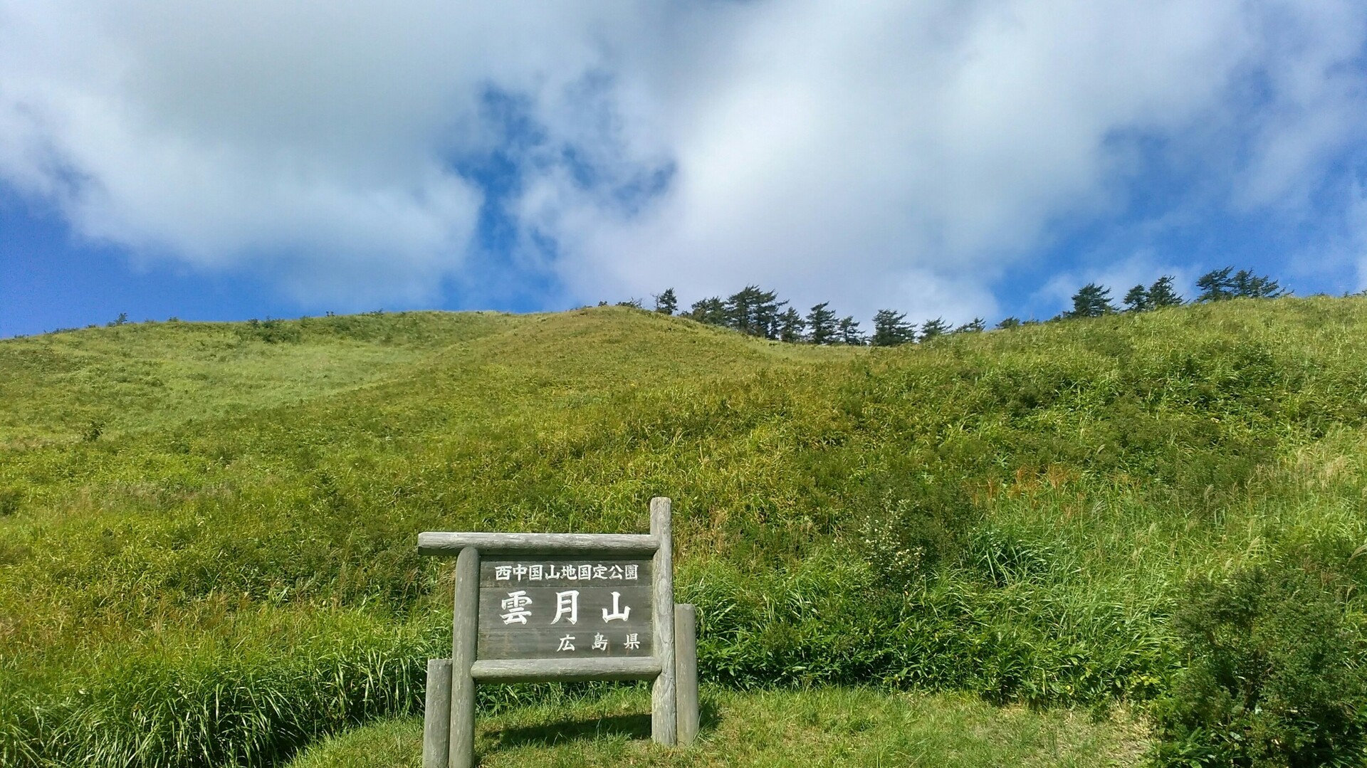 雲月山 植物観察会 広島県山県郡北広島町 土橋 Zukuさんの雲月山 大潰山 大佐山の活動日記 Yamap ヤマップ