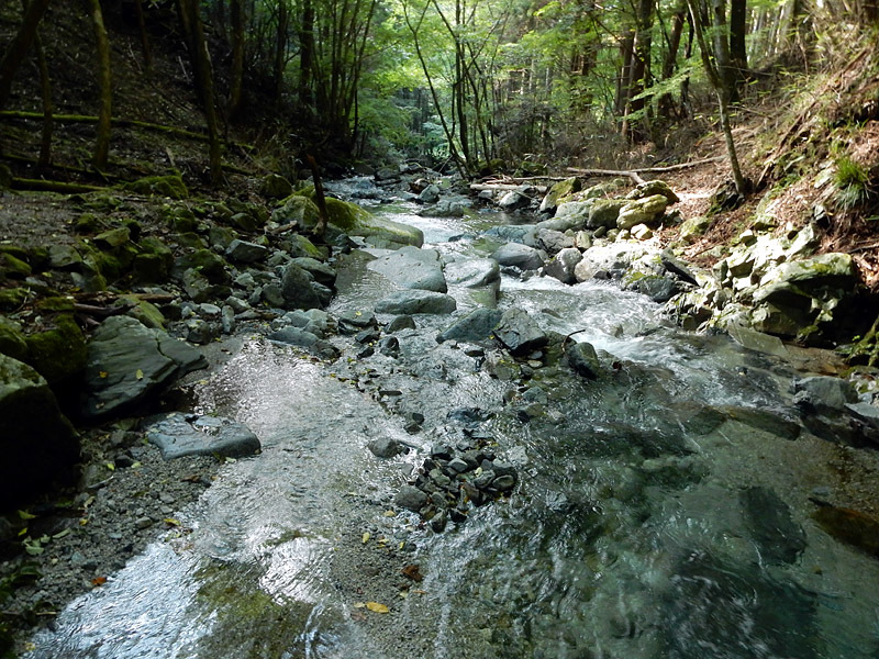 奥の奥まで続いていた 鳥屋沢 鳥屋ノ丸 油沢ノ頭 持萩沢 トプ ガバチョさんの大室山 畦ヶ丸山 菰釣山の活動日記 Yamap ヤマップ