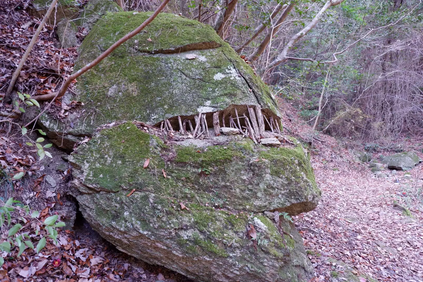 年末は六甲山 カスケードバレー 上野道 ポチャマロさんの六甲山 長峰山 摩耶山の活動データ yamap ヤマップ