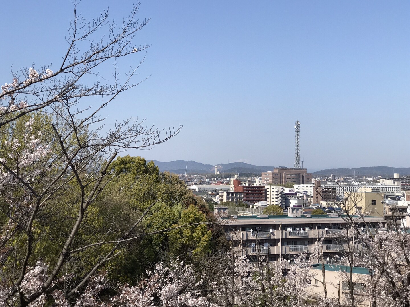 名古屋市明徳公園 04 06 エスジーさんの名古屋市の活動日記 Yamap ヤマップ