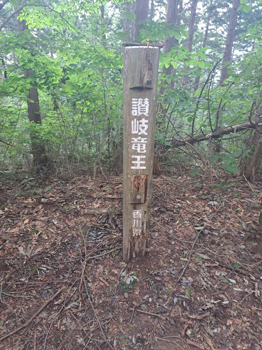 竜王山（阿波竜王）・竜王山（讃岐竜王） / ippoさんの竜王山（讃岐山脈）・大川山の活動データ YAMAP / ヤマップ