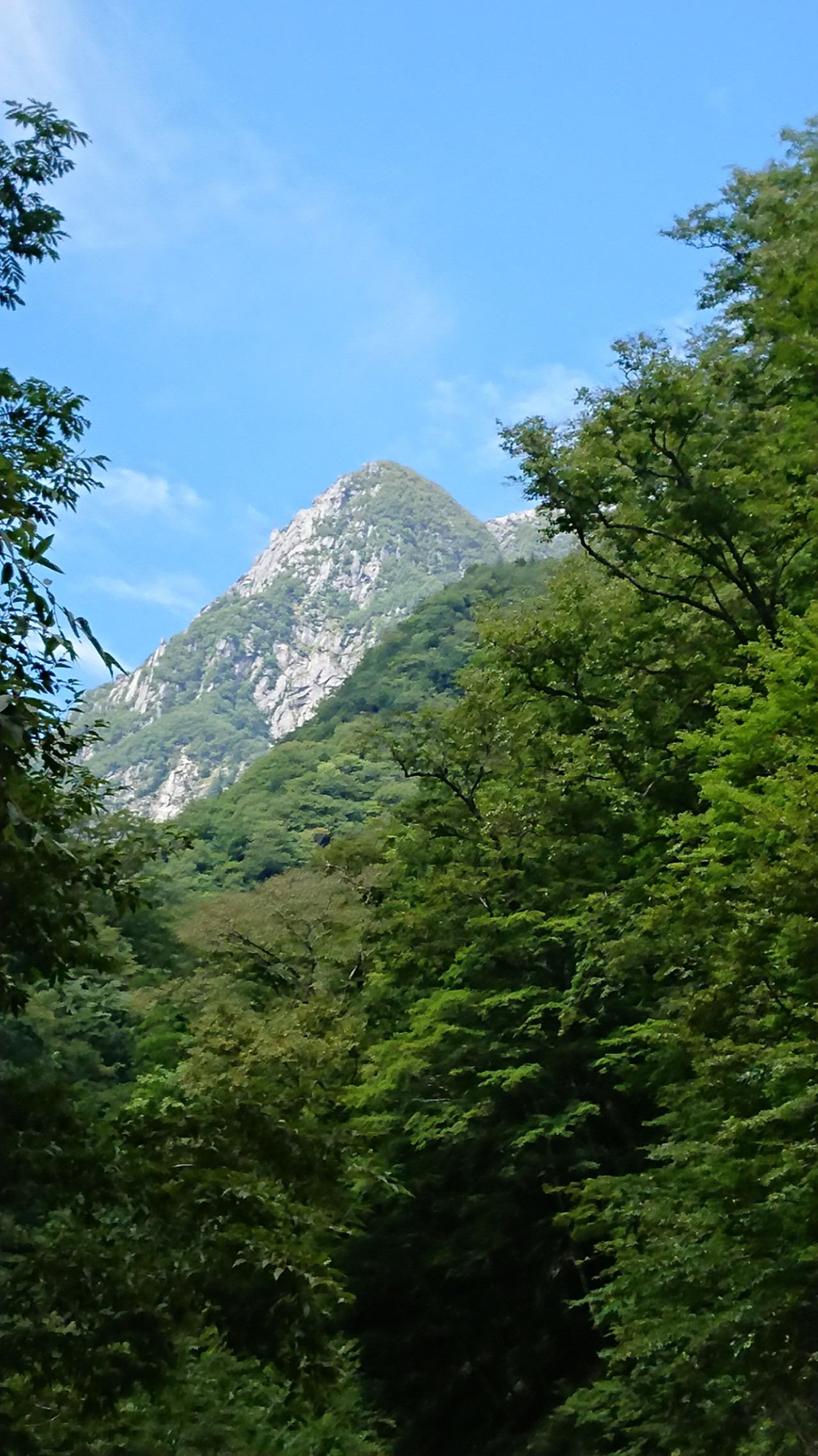 最初の一滴を探しに・・・（釜無川水系・大武川本流水晶沢）地獄