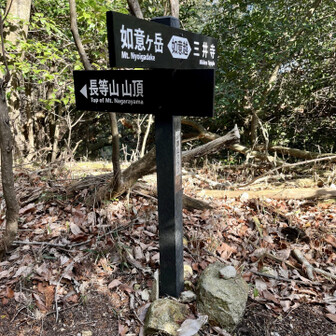 大文字山・如意ヶ嶽・稲荷山 長等山山頂への分岐点。