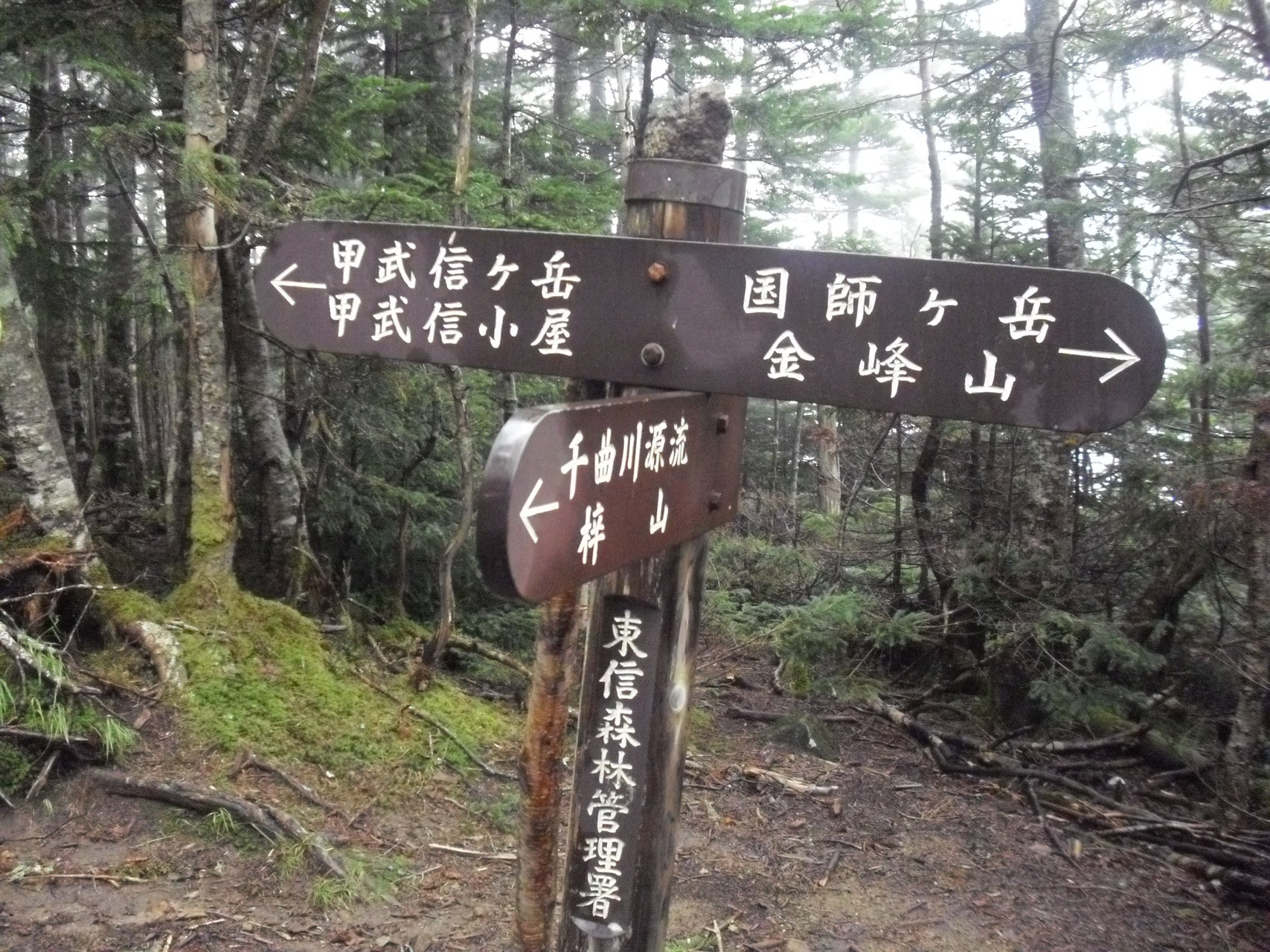 甲武信ヶ岳 悪天候でお気軽百名山の旅2 ぐっさんさんの甲武信ヶ岳の活動日記 Yamap ヤマップ