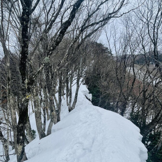 蘇武岳 六合目過ぎた所！
痩せ尾根なので右に落ちないように