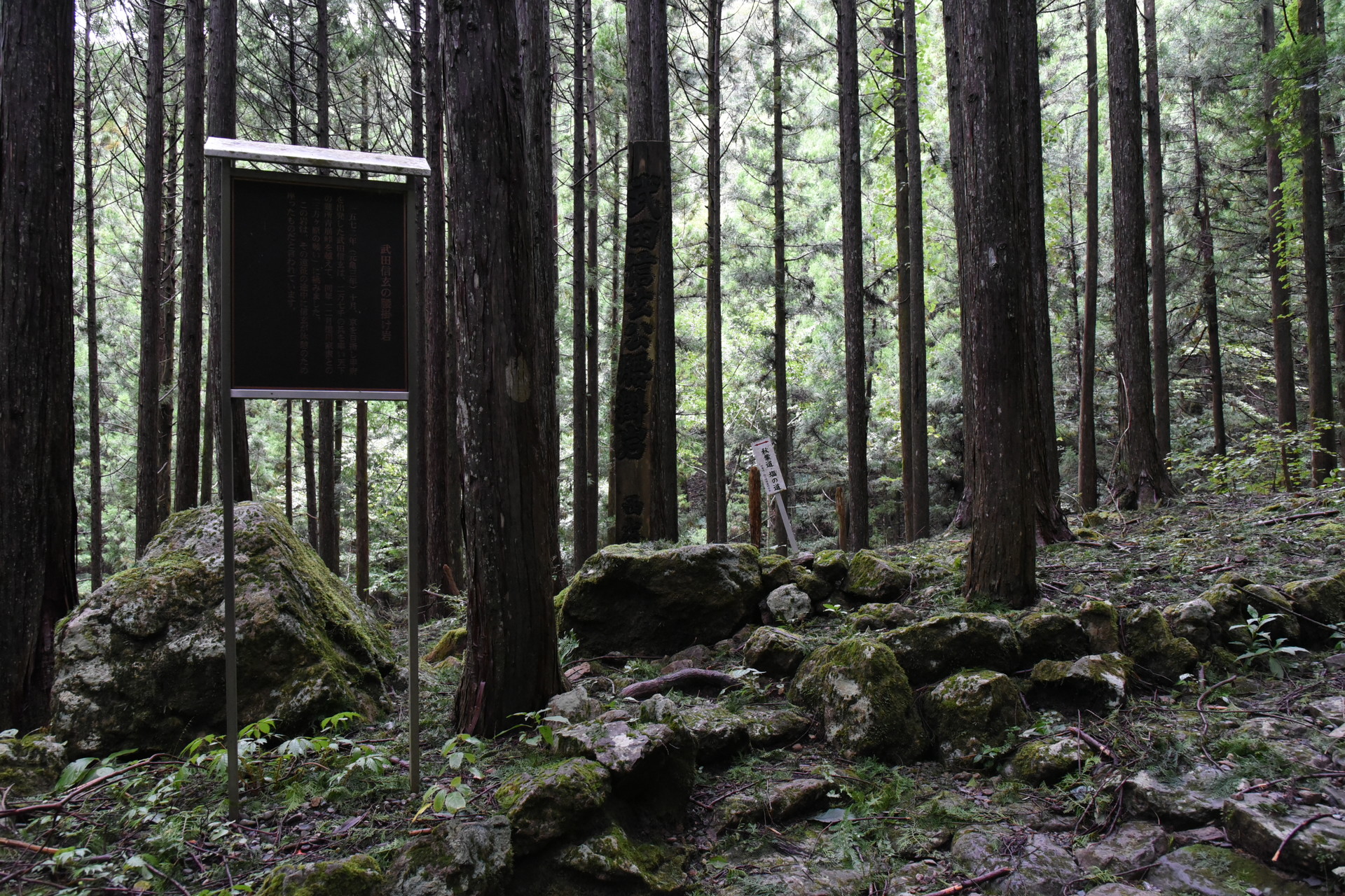 熊伏山・観音山 中央が、信玄の腰掛岩。