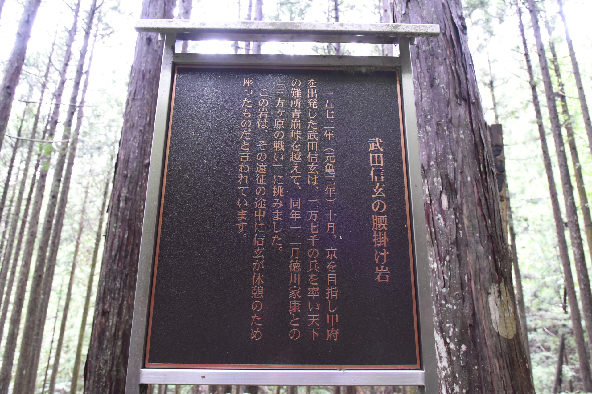 熊伏山・観音山 信玄の三方ヶ原の合戦への進軍は、このルートか...