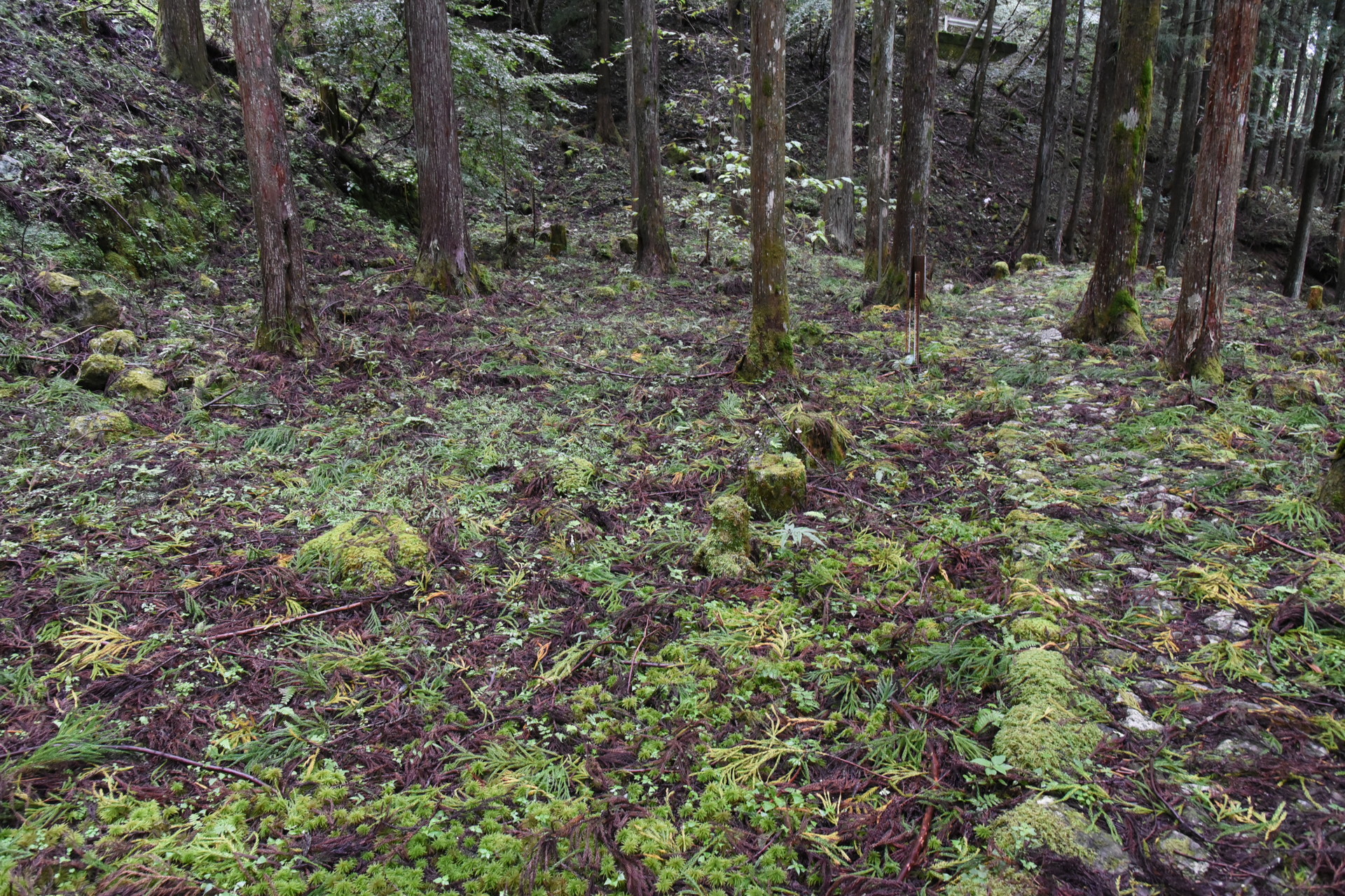 熊伏山・観音山 茶屋跡。昔、茶屋があり、4人の盗賊が押し入り、
主人を大黒柱に縛り付け、女房に乱暴狼藉し、
金を奪って逃げた記録があると...