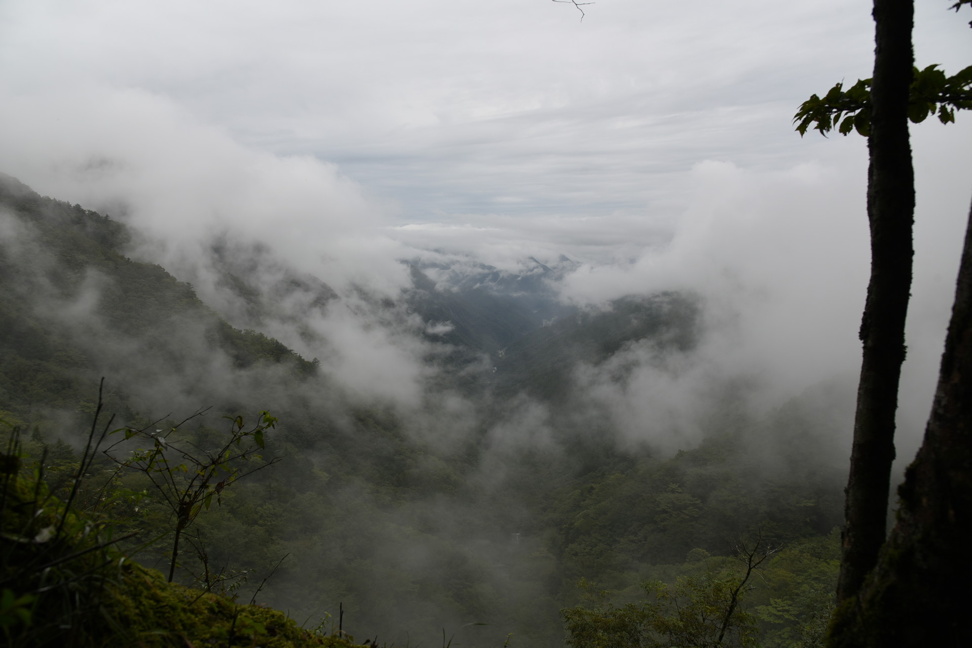 熊伏山・観音山 道中唯一の眺望（？）