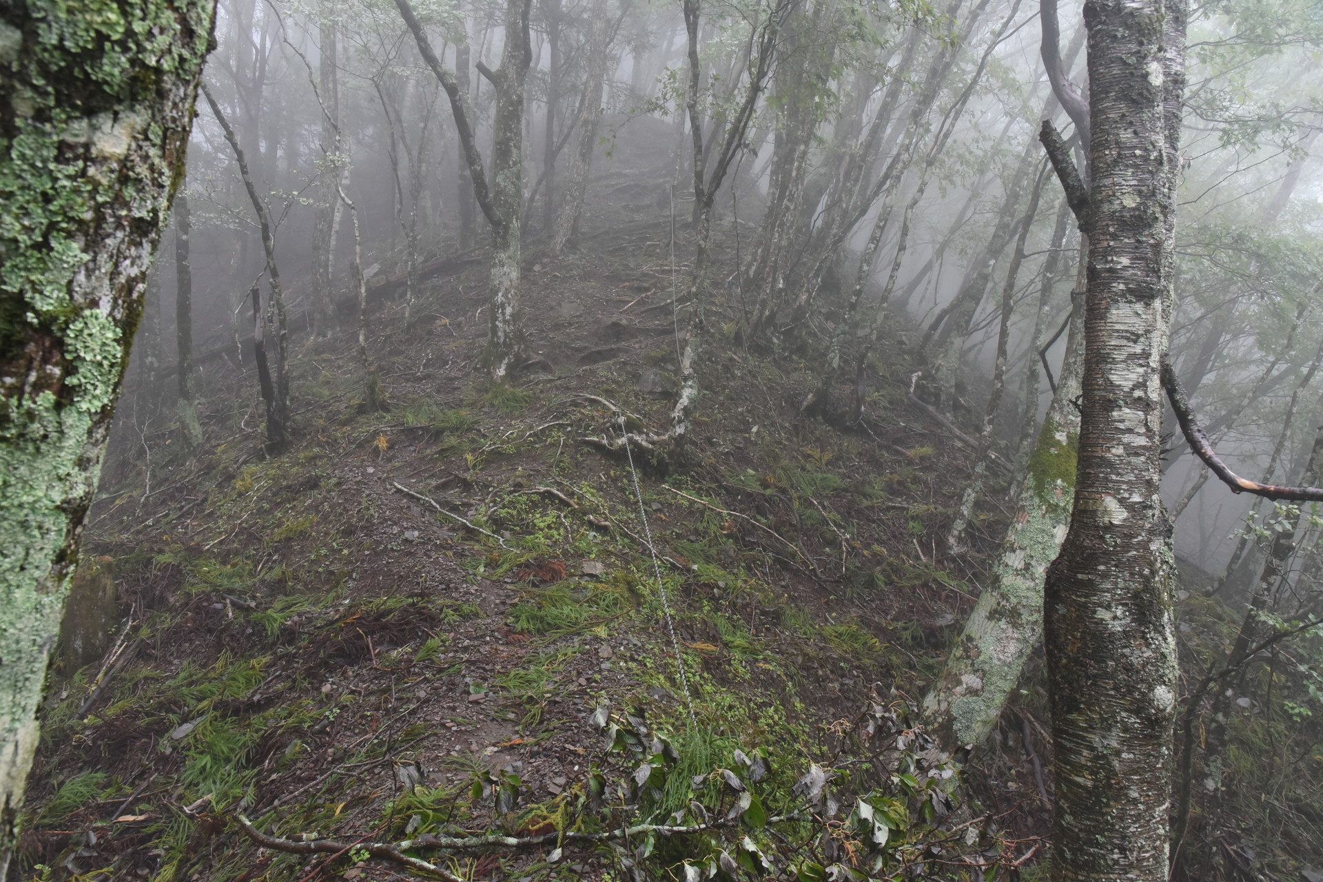 熊伏山・観音山 そしてガス。