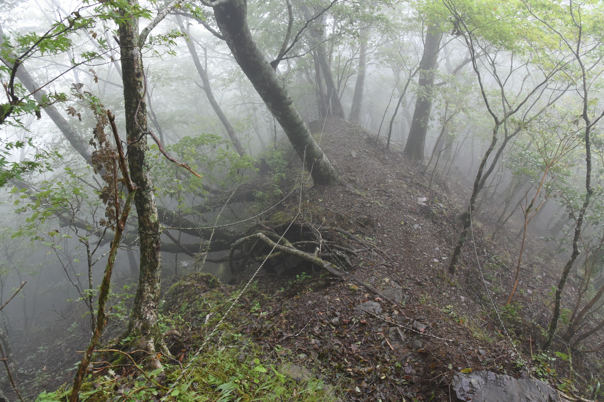 熊伏山・観音山 登りでは全く気づけない登山道下の崩落。