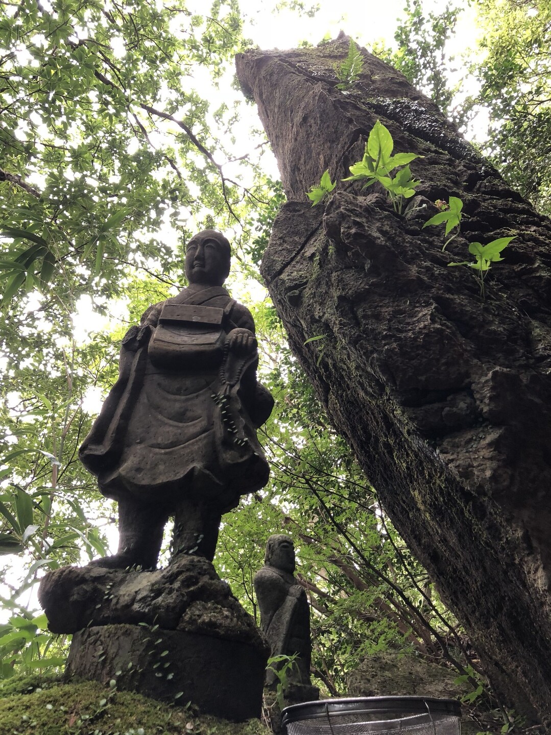 若杉山 若杉ヶ鼻 へ Satomiさんの宝満山 三郡山 若杉山の活動日記 Yamap ヤマップ
