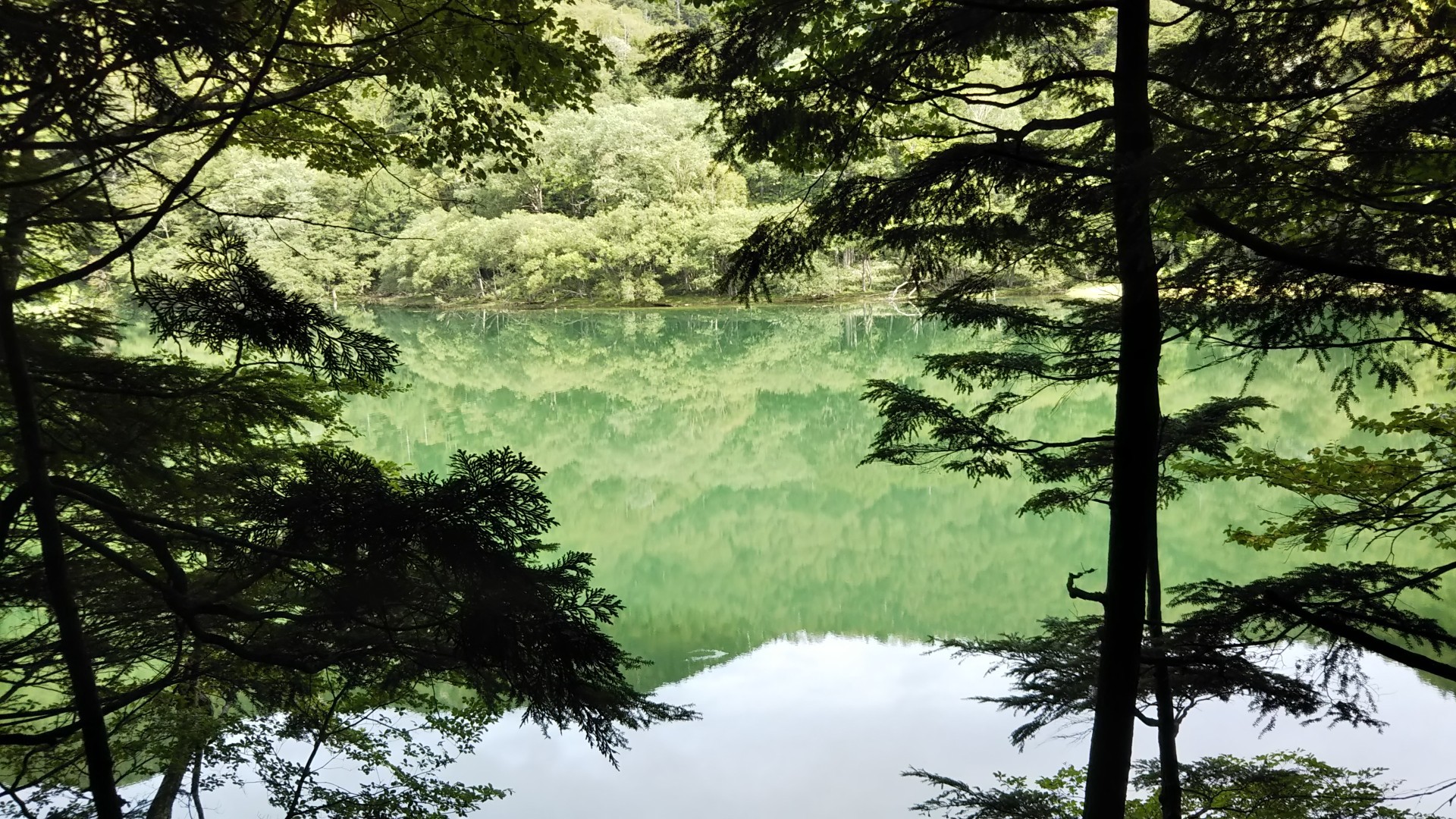 切込湖 刈込湖ハイキングコース ムームー さんの日光白根山 五色山 錫ヶ岳の活動データ Yamap ヤマップ