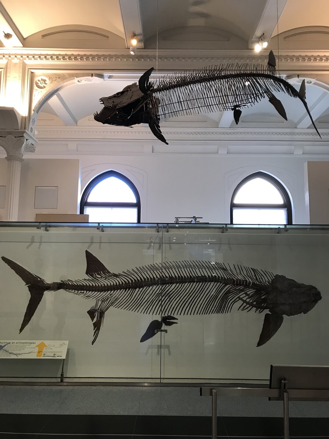 アメリカ自然史博物館 セントラルパークへ ずおずおむさんのスターリング フォレスト州立公園の活動日記 Yamap ヤマップ