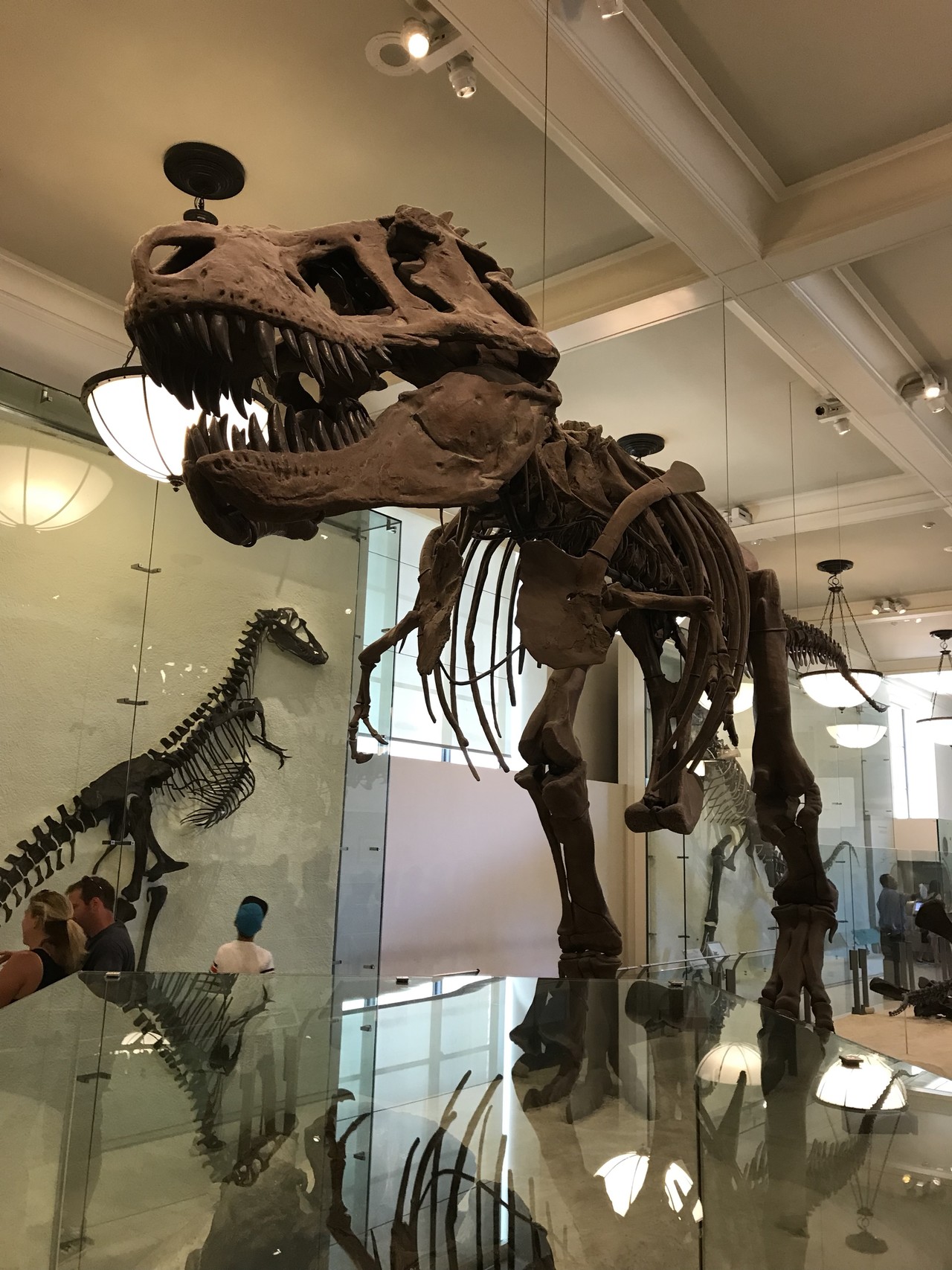 アメリカ自然史博物館 セントラルパークへ ずおずおむさんのスターリング フォレスト州立公園の活動日記 Yamap ヤマップ