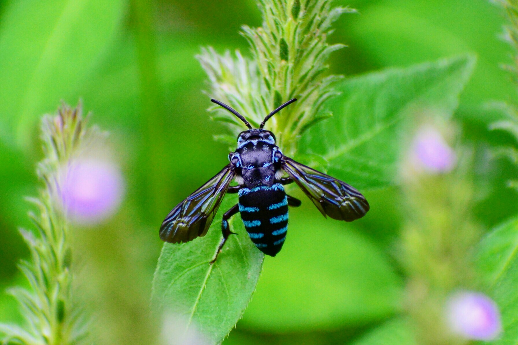 9 11 藤沢新林公園 栄区自然観察の森 なっちゃん さんの藤沢市の活動日記 Yamap ヤマップ