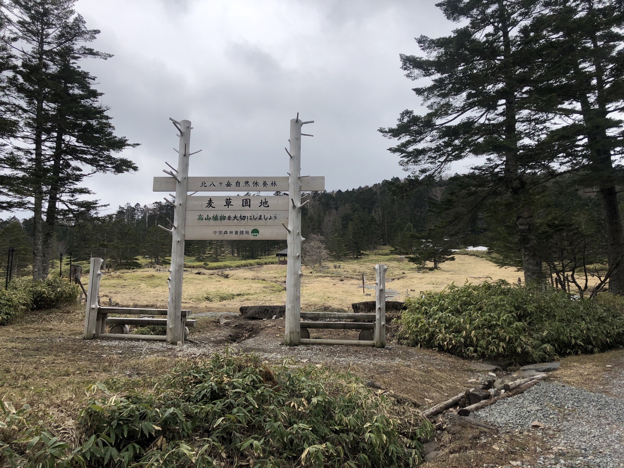 麦草ヒュッテ前