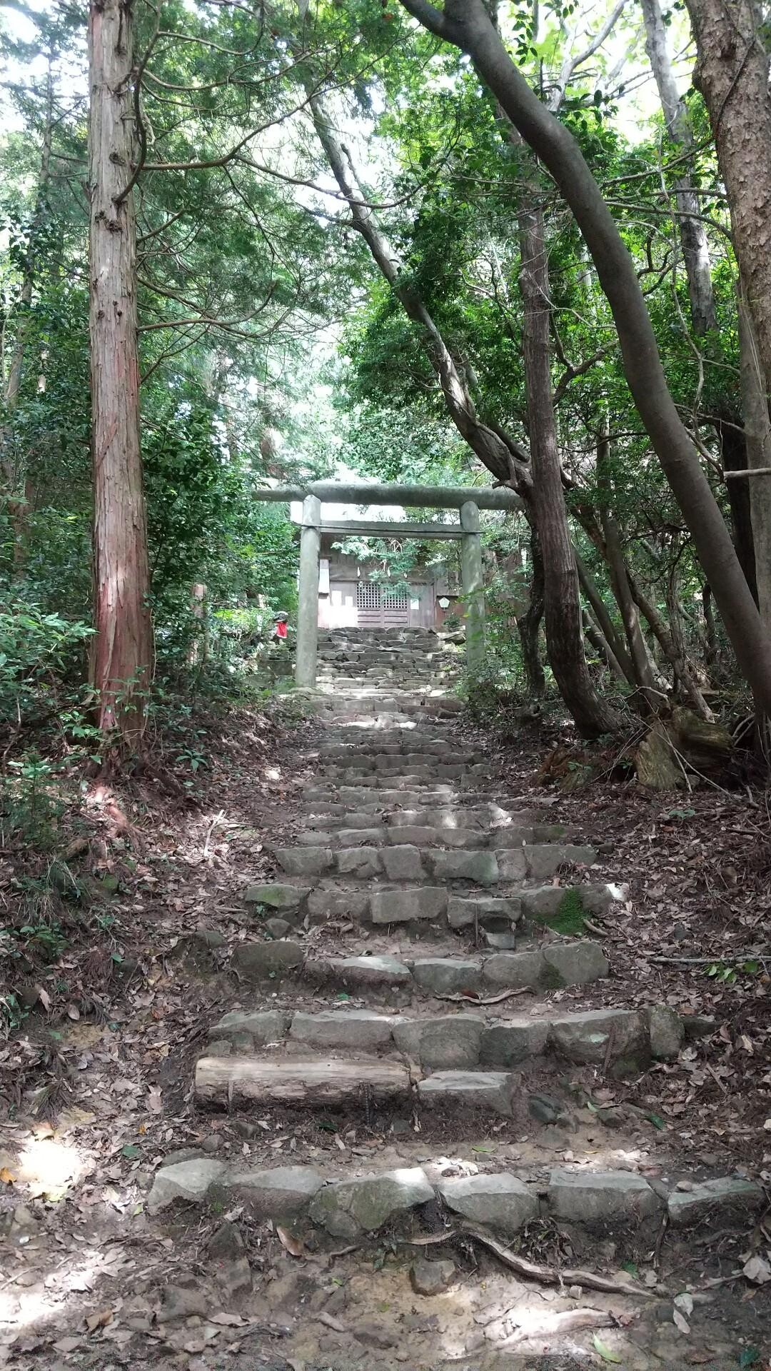 大麻山(88か所の途中で) / yo(香川)さんの大麻山・天円山の活動データ YAMAP / ヤマップ