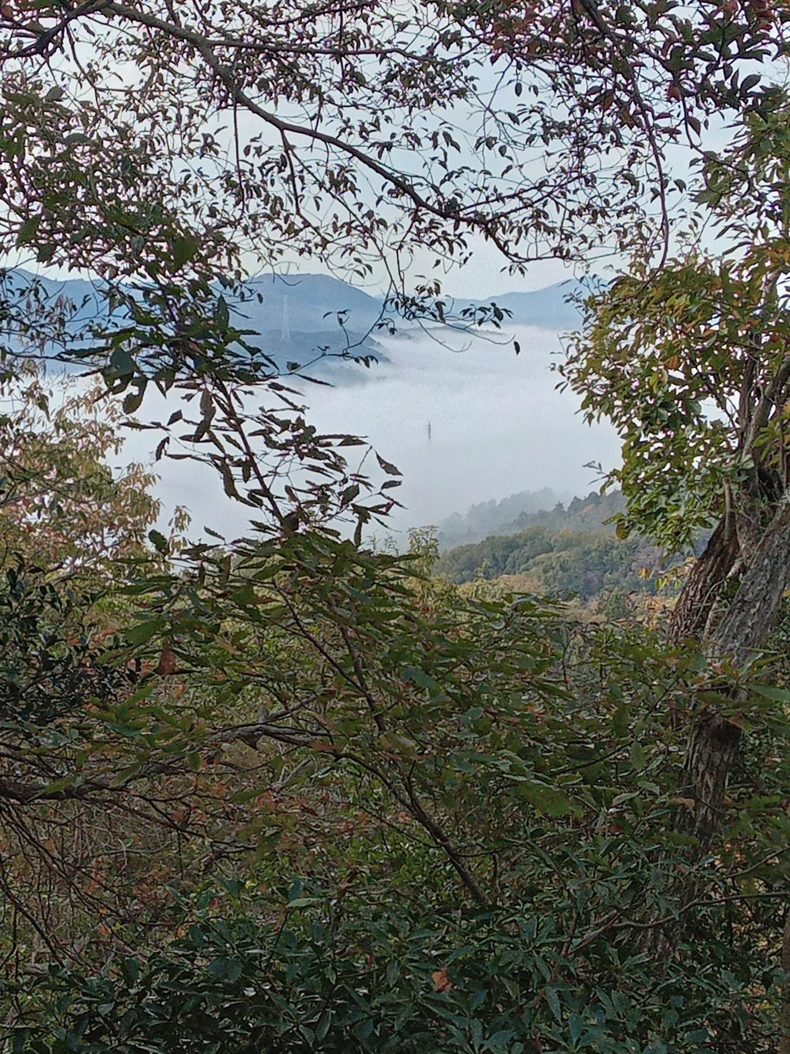 沓掛山 / yuusenさんの沓掛山・みすぎ山・唐櫃越の活動データ YAMAP / ヤマップ