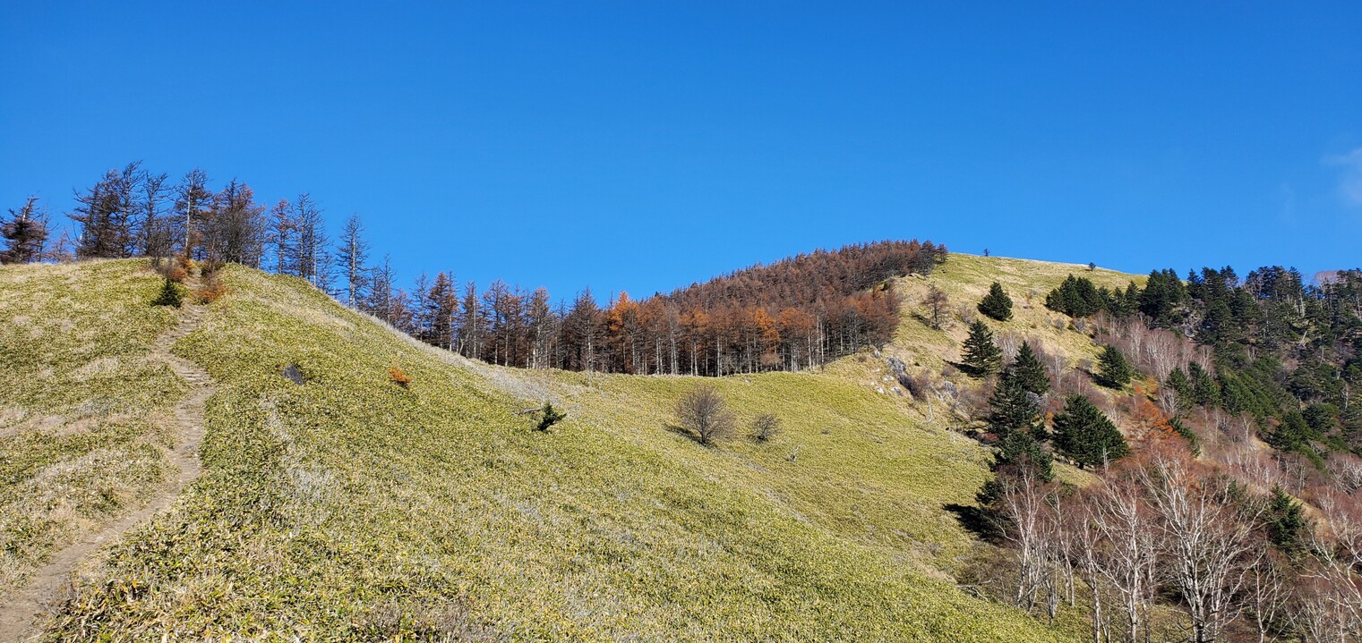 茶臼山 往復コースの地図・登山ルート・登山口情報 | YAMAP / ヤマップ