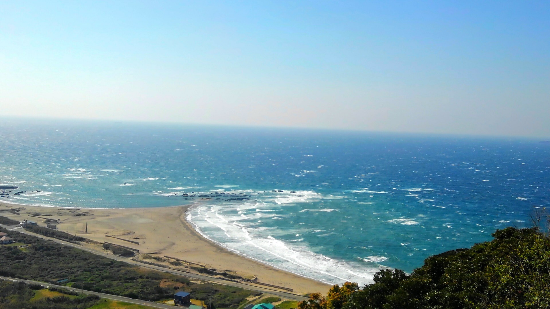 房総最南端で藪山紀行 やまっぺさんの天神山 千葉県 館山野鳥の森の活動日記 Yamap ヤマップ