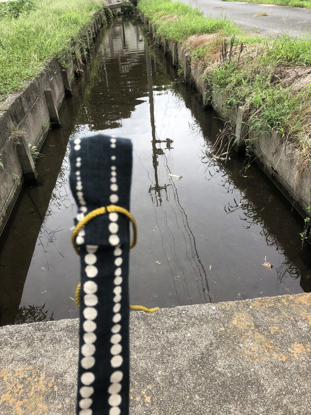 久しぶりの山登り 三上山へ よしぞうさんの三上山 鏡山の活動日記 Yamap ヤマップ