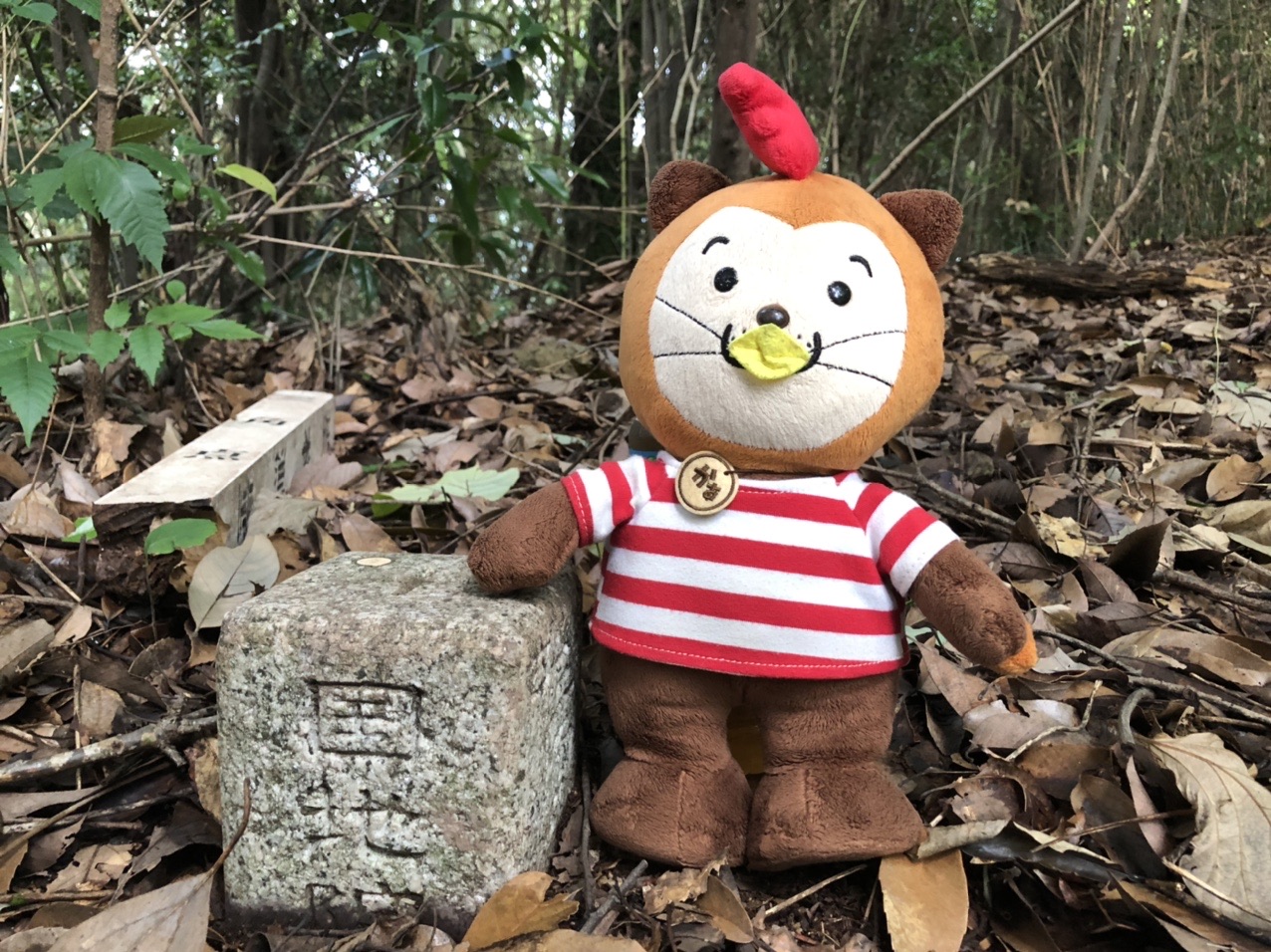 元ひのくにランド・花園山だ。【熊本周遊ピークハント遠征】 / roughtice(ラフティス)さんの熊本市（南エリア）の活動データ