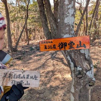 両崖山・仙人ヶ岳・石尊山 足百No36⛰️御堂山

3分岐から左手(西)にピストンで10分
新しい山名板が出来たって言っていたのはここかな？
前のが落ちていたから付けとくね