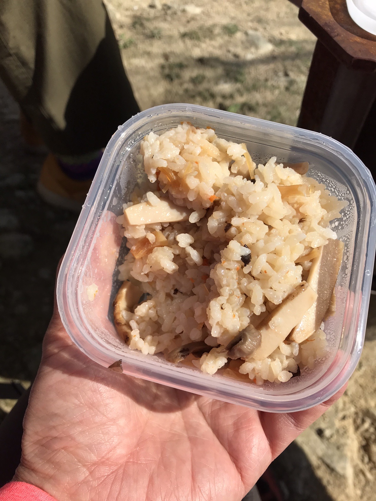 天円山でスペシャルランチ Sadachanさんの大麻山 天円山の活動データ Yamap ヤマップ