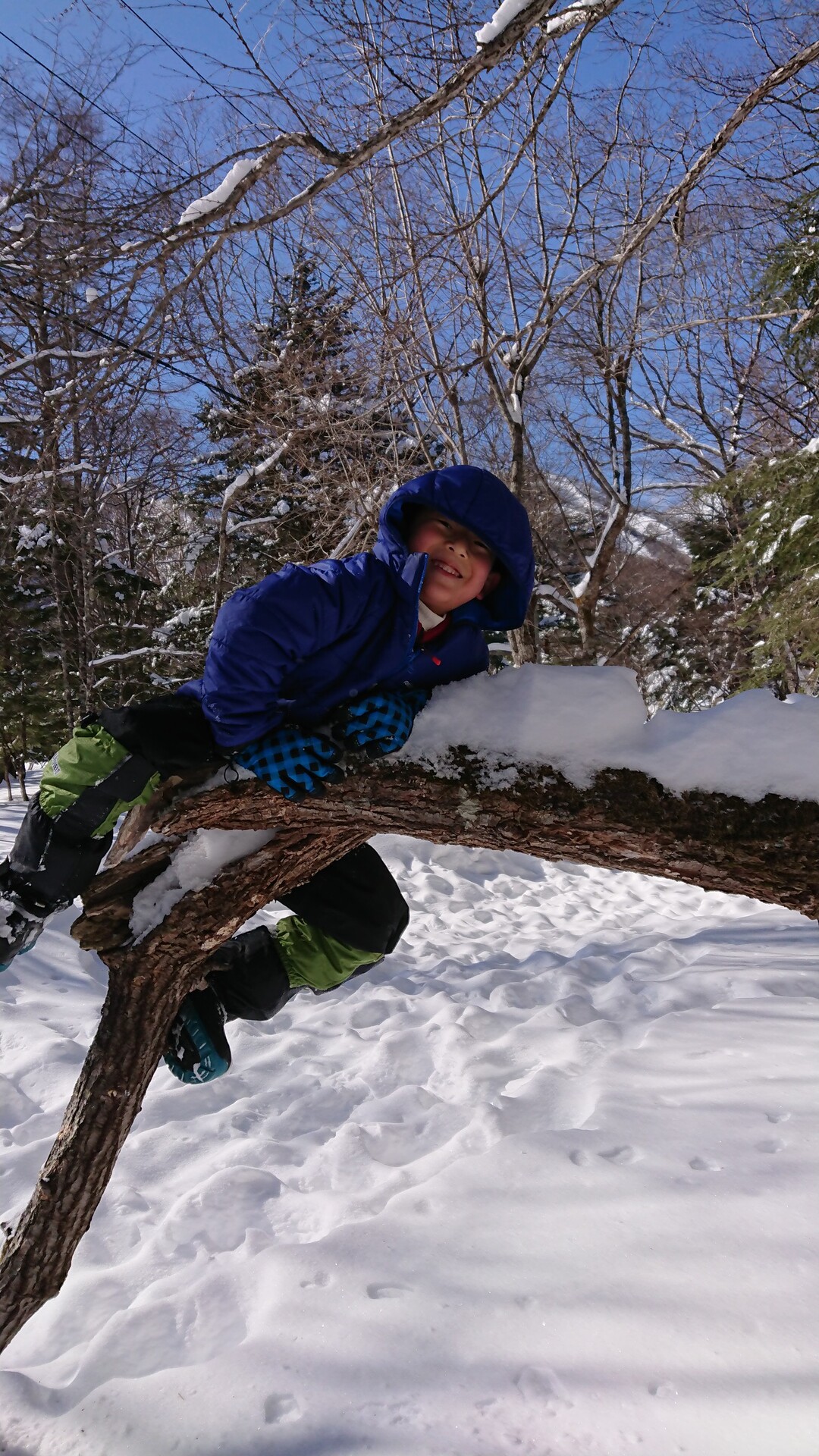 子連れスノーシューハイク 日光湯元 レ おっかさんのモーメント Yamap ヤマップ