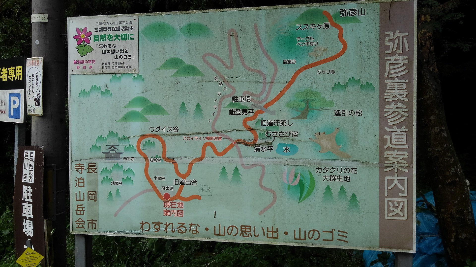 弥彦山から西生寺 19 08 29 Mashさんの弥彦山 多宝山 雨乞山の活動日記 Yamap ヤマップ