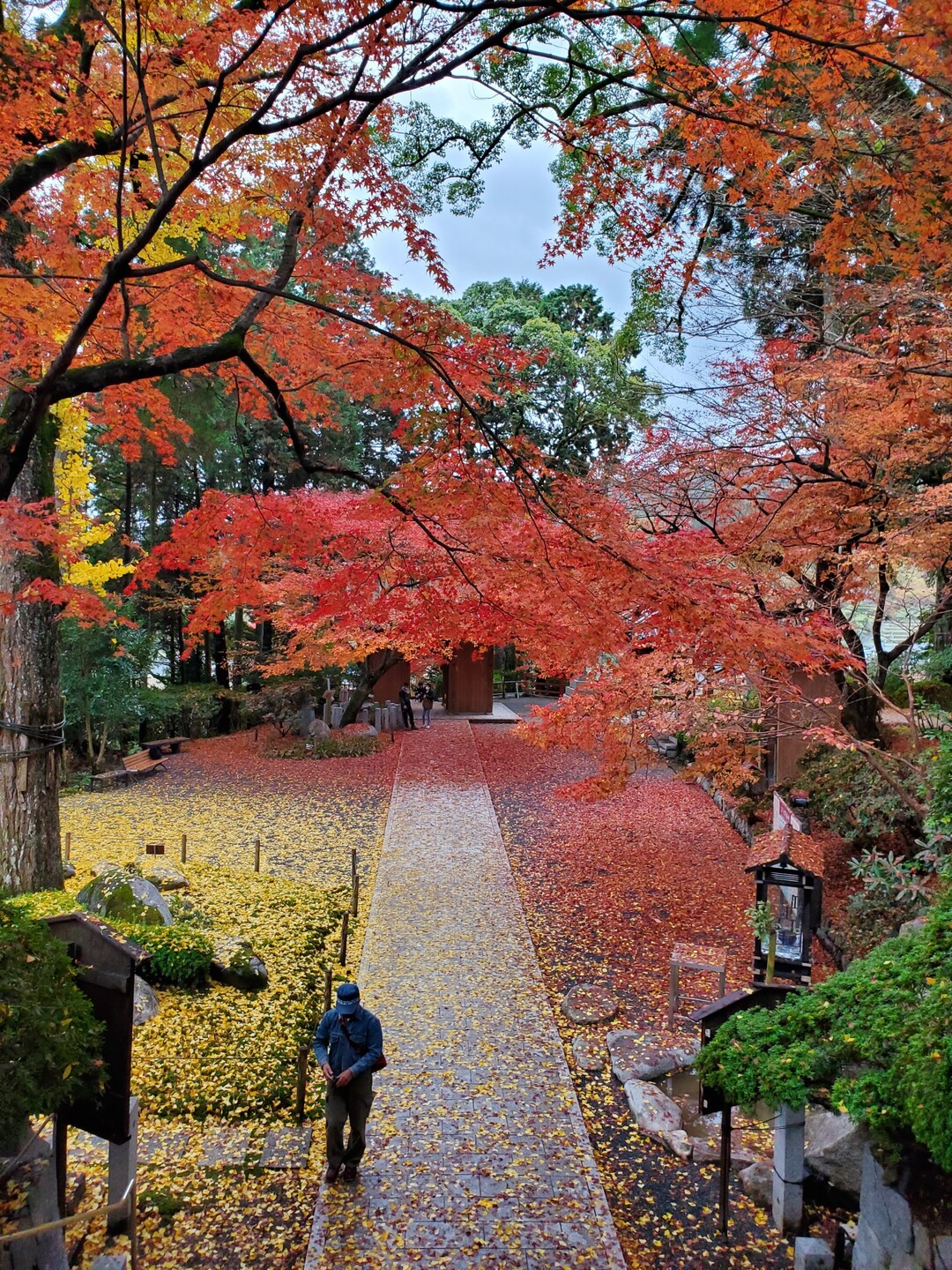 佐賀県にある大興善寺に紅葉を見に行きまし あいさんのモーメント Yamap ヤマップ