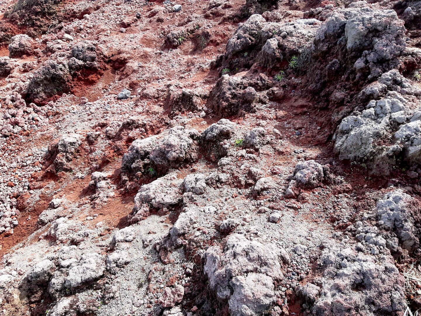 高千穂峰 ケントさんの霧島山 韓国岳 高千穂峰 夷守岳 烏帽子岳の活動日記 Yamap ヤマップ