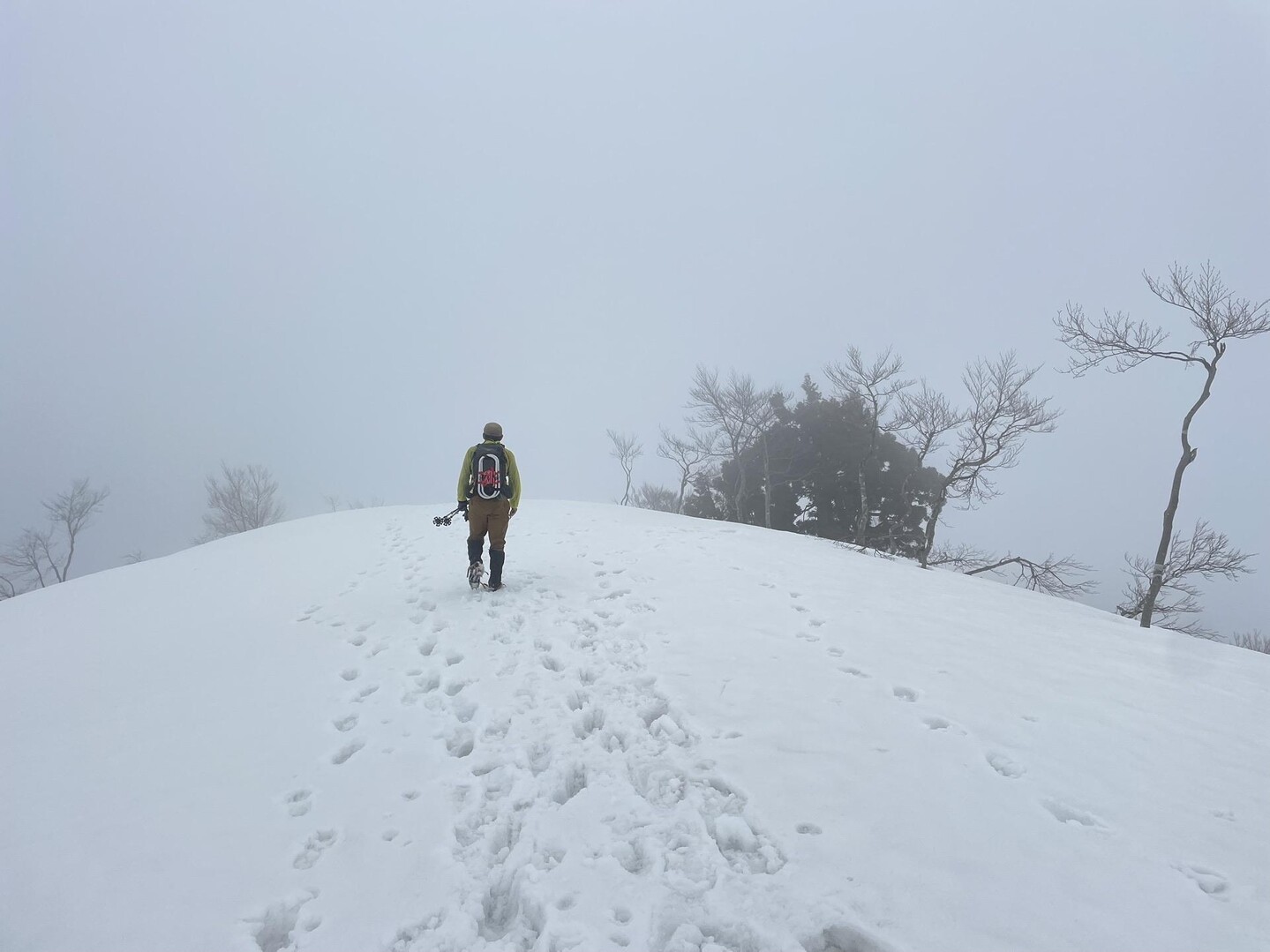 大平山・濁谷山・カクレ山・大倉山🏔の写真