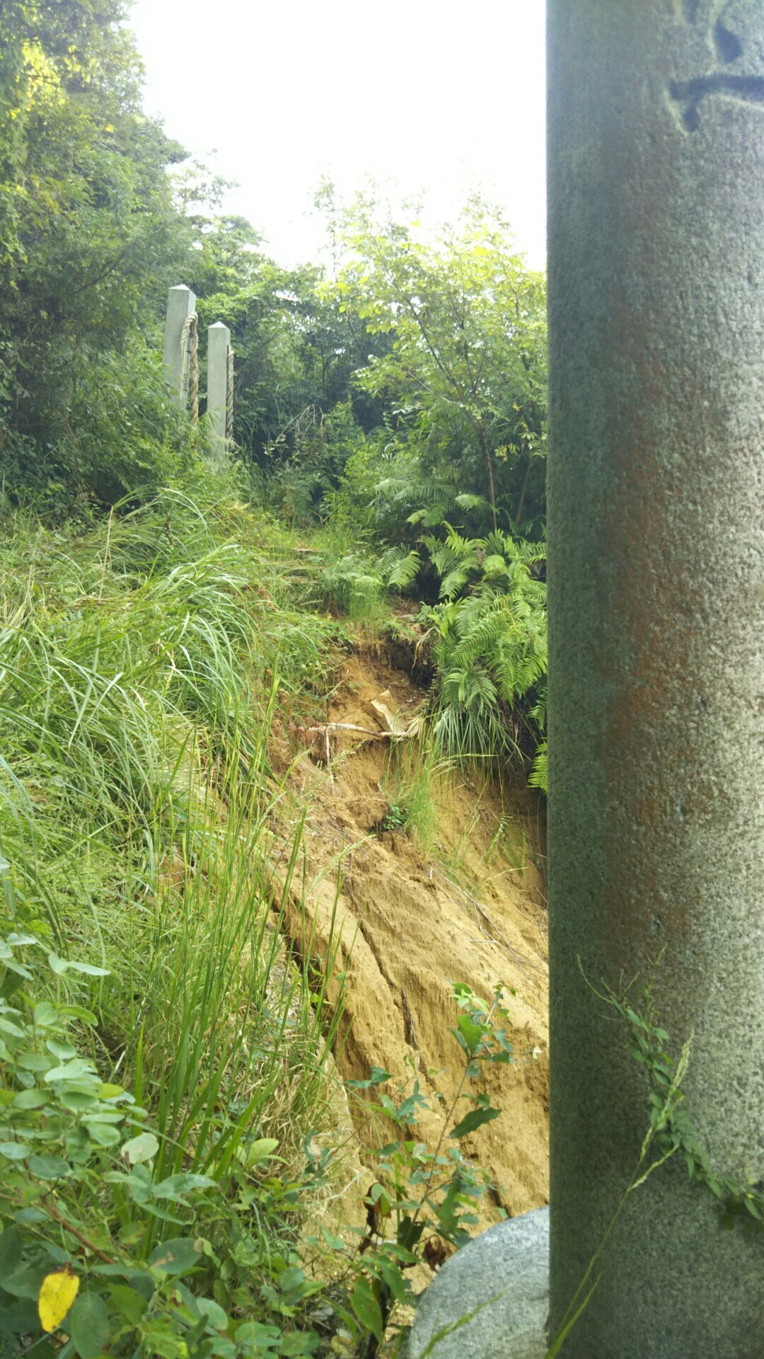 7月豪雨災害 愛宕神社付近の山崩れ調査 がんりゅうさんの安芸アルプス 鉾取山 金ヶ燈篭山の活動日記 Yamap ヤマップ