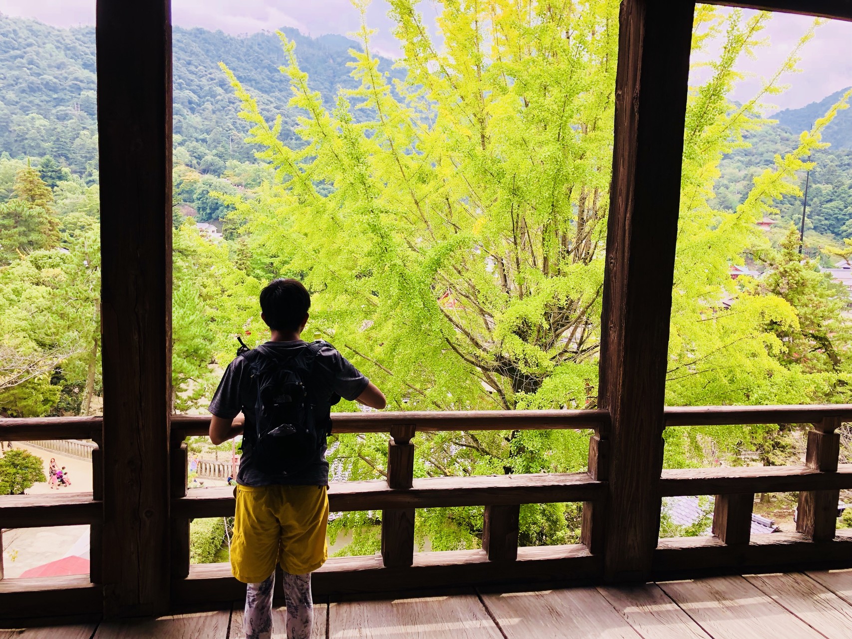 広島 宮島弥山 ようこそ宮島 弥山 へ O ちなさんの宮島 厳島 弥山の活動データ Yamap ヤマップ