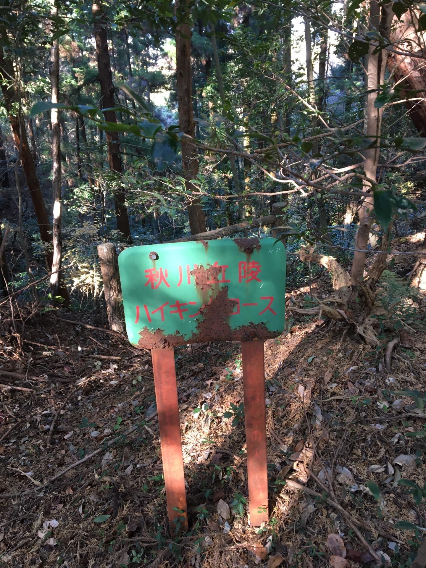 網代城山、根小屋城跡（都立秋川丘陵自然公園） / HenxZZさんのハイキングの活動データ YAMAP / ヤマップ