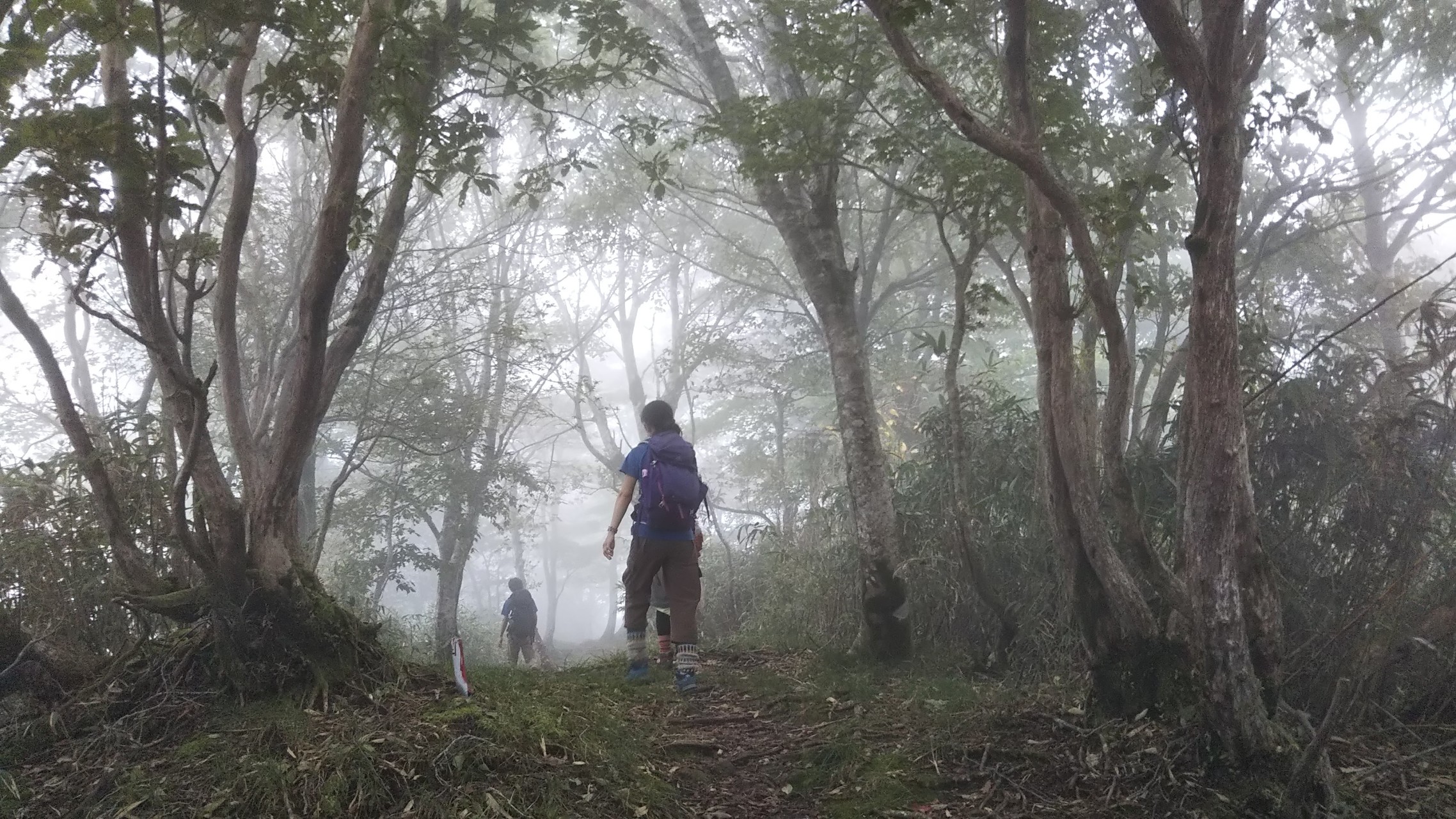 駒の尾山 船木山 後山縦走 ちくさ高原から 秀とろさんの後山 船木山 駒の尾山の活動データ Yamap ヤマップ