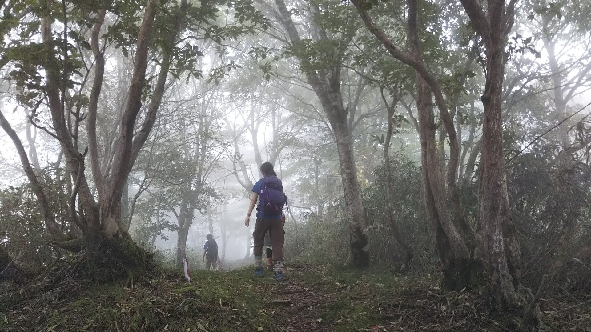 駒の尾山 船木山 後山縦走 ちくさ高原から 秀とろさんの後山 船木山 駒の尾山の活動日記 Yamap ヤマップ