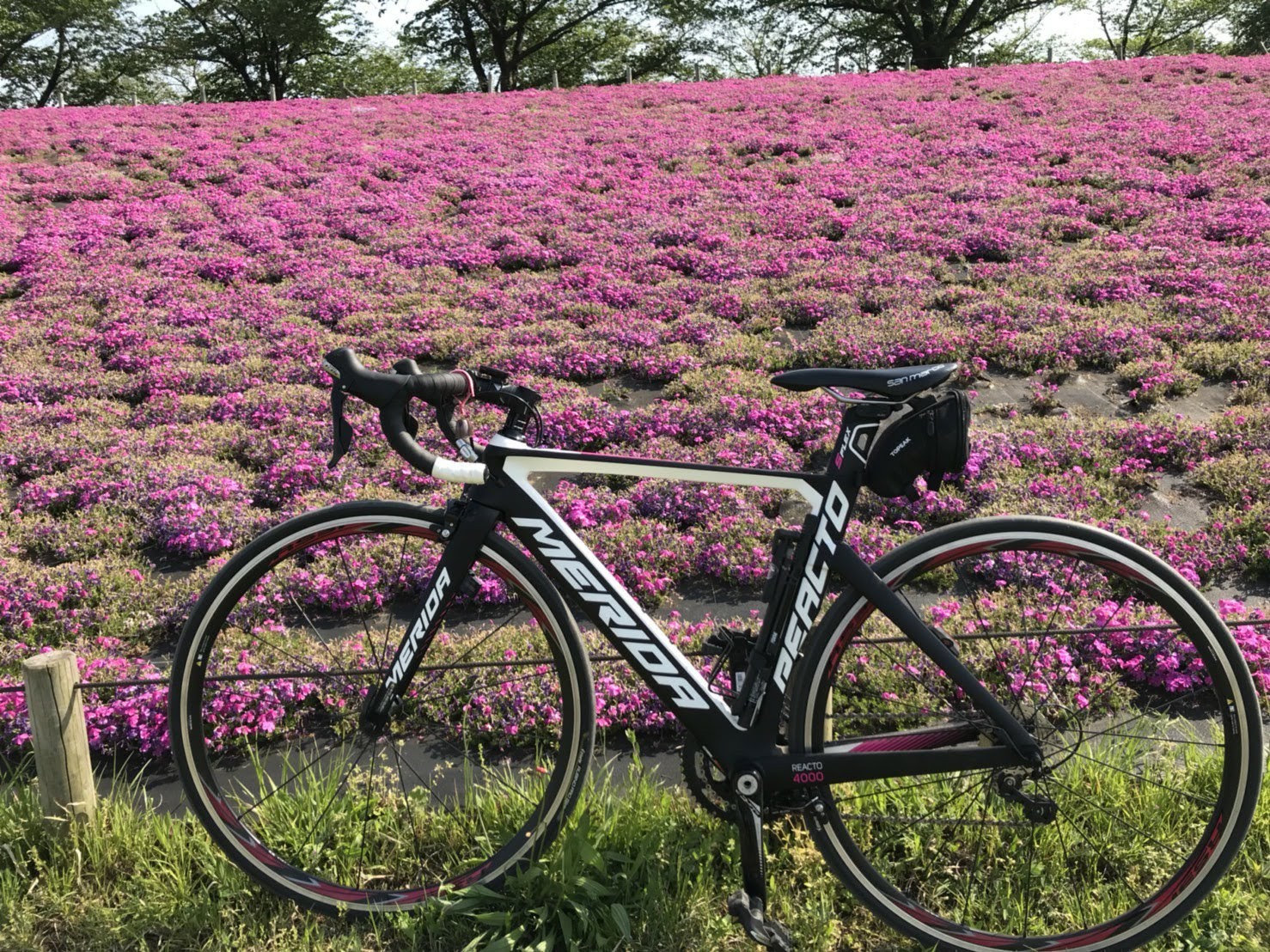 100 ライド 荒川cr Cafe Via 榎本牧場 ちちぇさんのさいたま市の活動データ Yamap ヤマップ