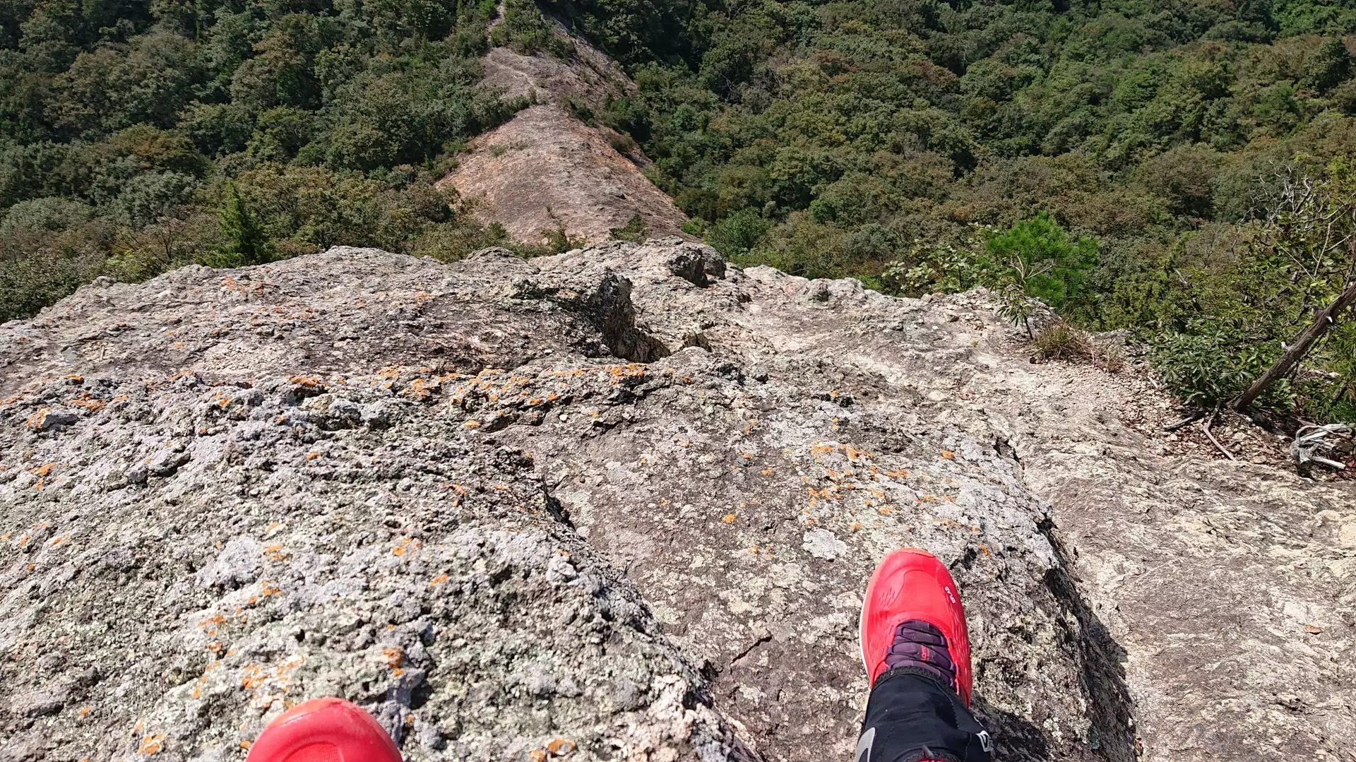 恐るべし小野アルプス 紅山の岩場 やまビートさんの小野アルプス 紅山 惣山 の活動データ yamap ヤマップ