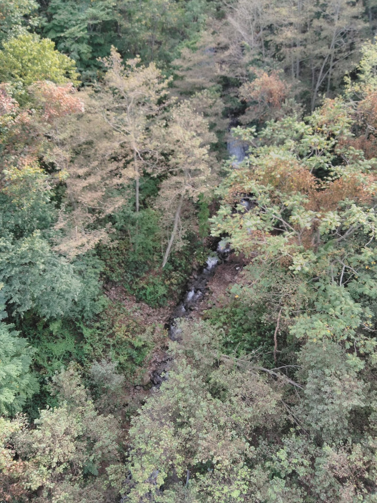 手稲山 頂きに向かって参拝 オナベさんの手稲山 奥手稲山の活動日記 Yamap ヤマップ