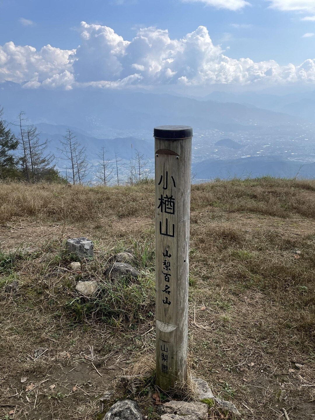 小楢山・棚根入ノ頭・大沢ノ頭 / とだなさんさんの小楢山・妙見山・乙女高原の活動データ | YAMAP / ヤマップ