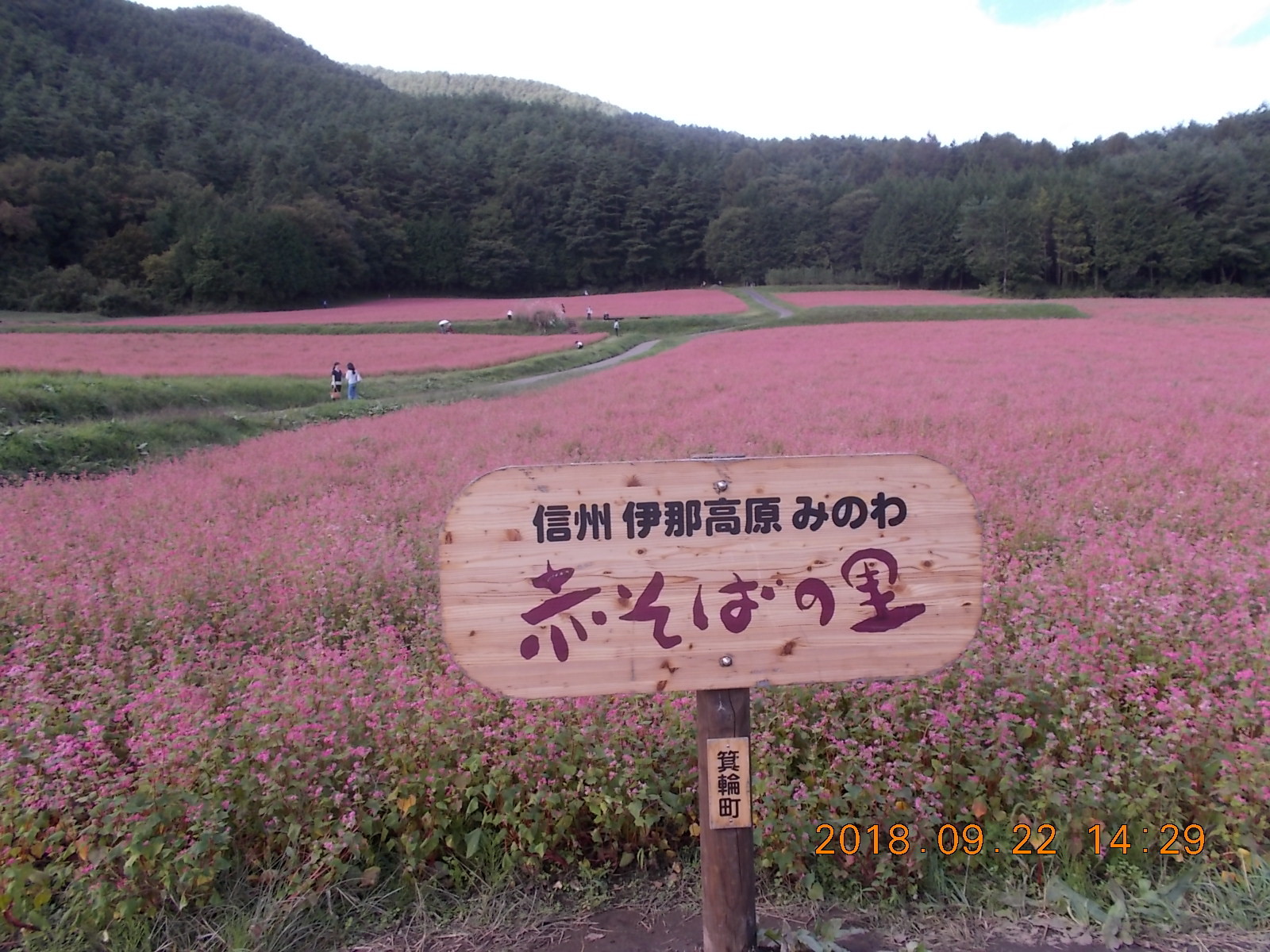 伊那 箕輪町赤そばの里 から 権兵衛トンネル たくさんの経ヶ岳 坊主岳の活動日記 Yamap ヤマップ