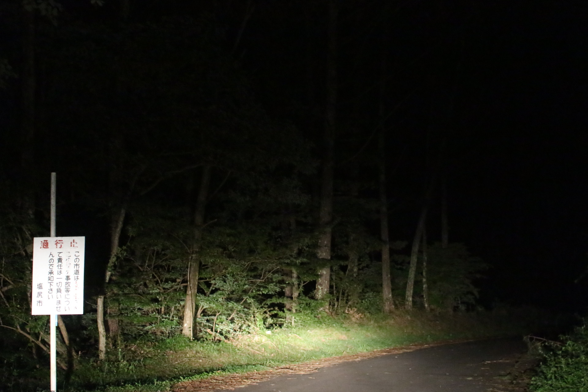 ゆるキャン 聖地巡礼 高ボッチ山 ゆるヤマ の旅 1日目 2日目 るぷるどぅさんの鉢伏山 高ボッチ山 三峰山の活動日記 Yamap ヤマップ