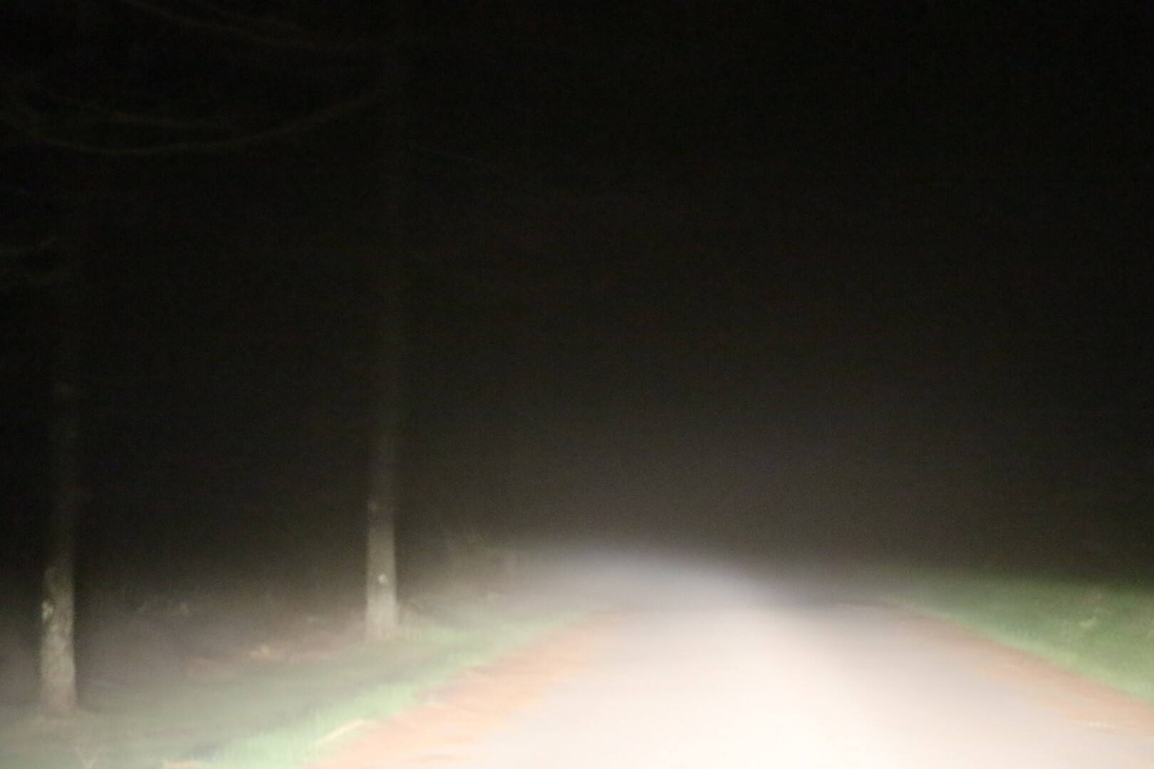 ゆるキャン 聖地巡礼 高ボッチ山 ゆるヤマ の旅 1日目 2日目 鉢伏山 高ボッチ山 三峰山の写真5枚目 真っ暗な森 真っ白な霧 視界は限りなくゼ Yamap ヤマップ